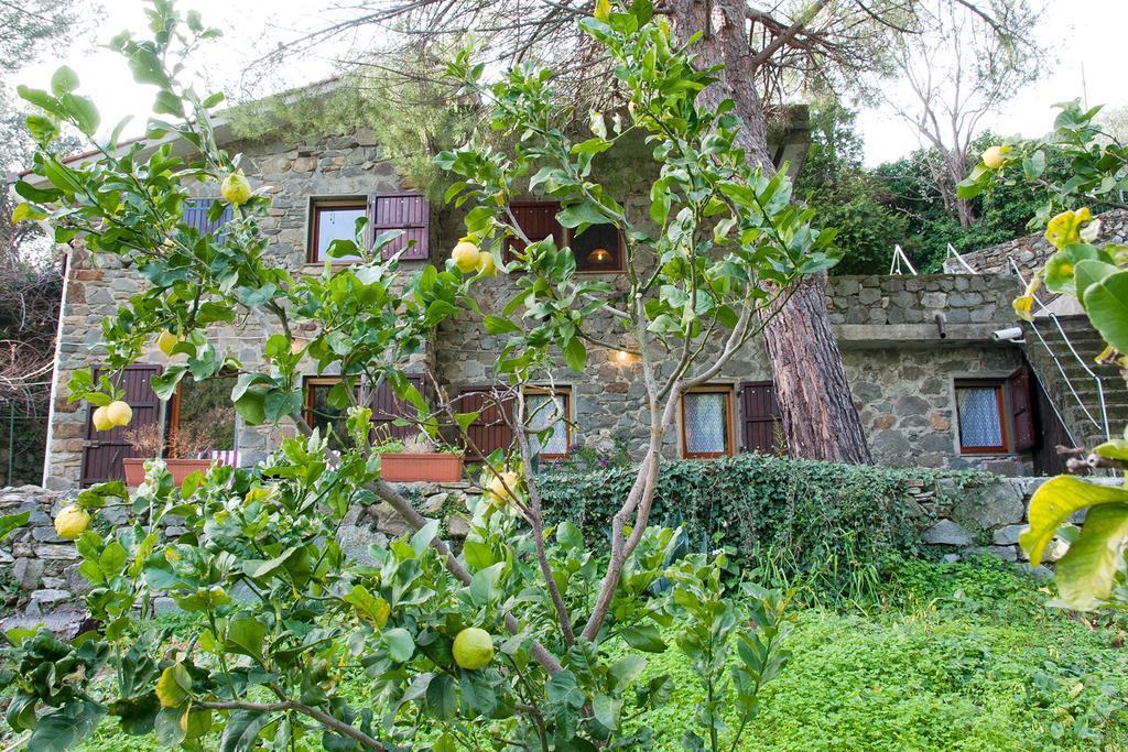 Apartmán Due Pini Corniglia Exteriér fotografie