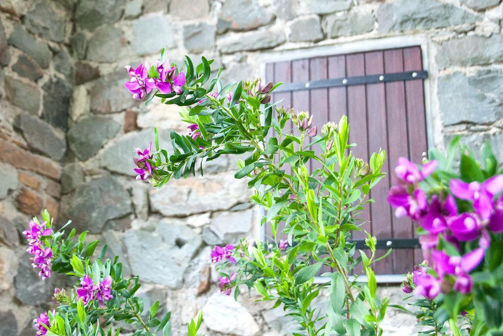 Apartmán Due Pini Corniglia Exteriér fotografie